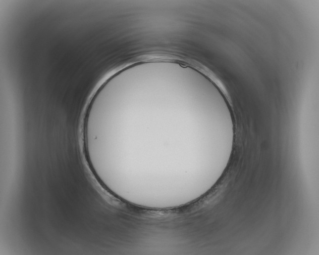 X0000111031195200906251111