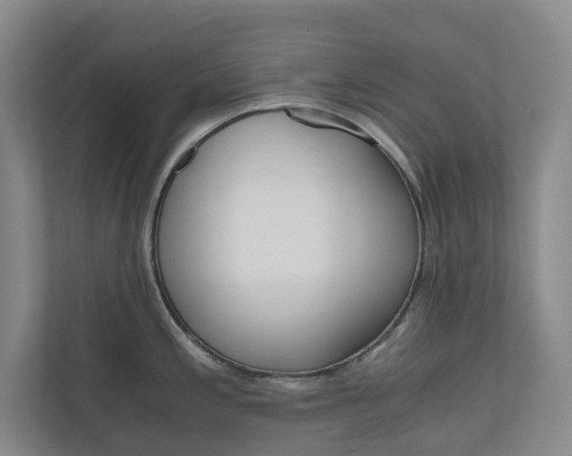 X0000111031197200906251111