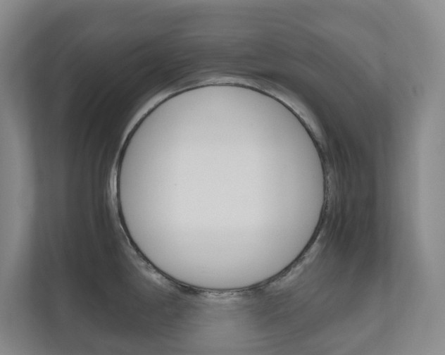 X0000111031198200906251111