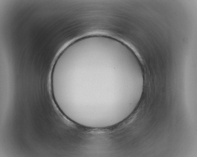 X0000111031199200906251111