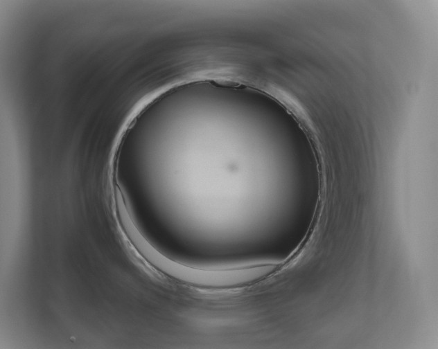 X0000111031200200906251111