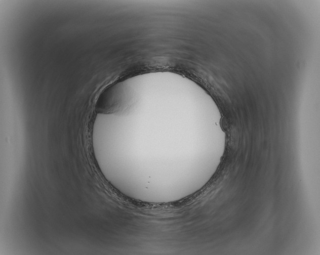 X0000111031201200906251111