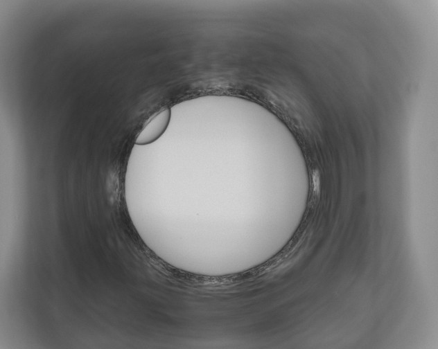 X0000111031203200906251111
