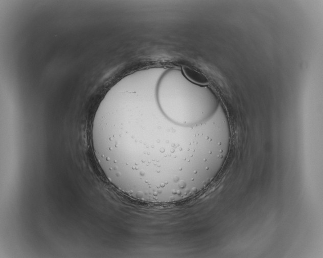 X0000111031205200906251111
