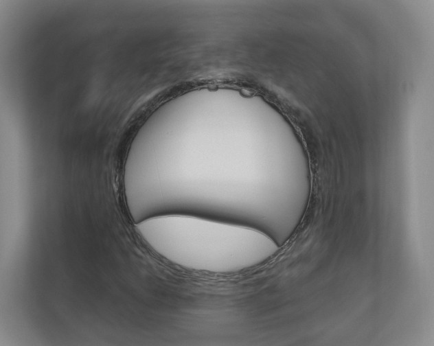 X0000111031206200906251111