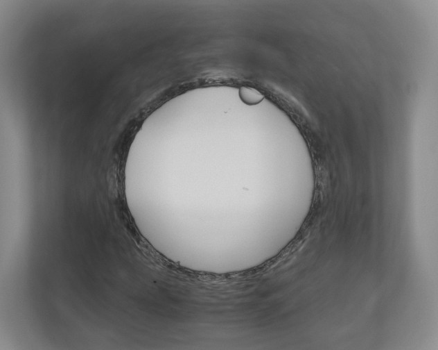 X0000111031207200906251111