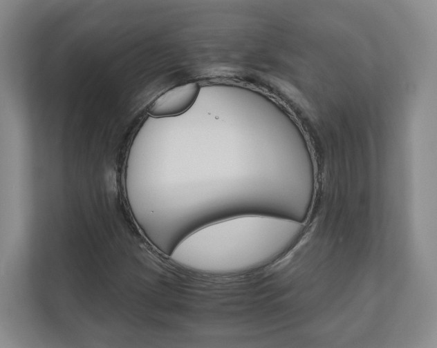 X0000111031209200906251111