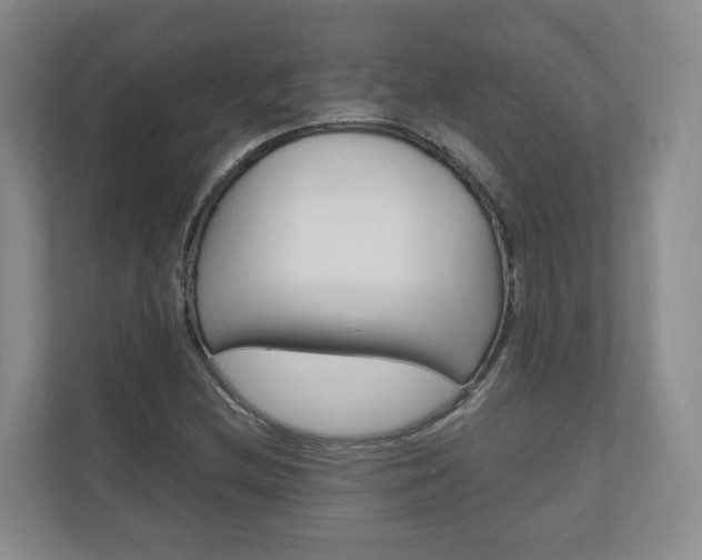 X0000111031212200906251111