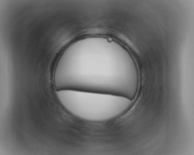 X0000111031213200906251111