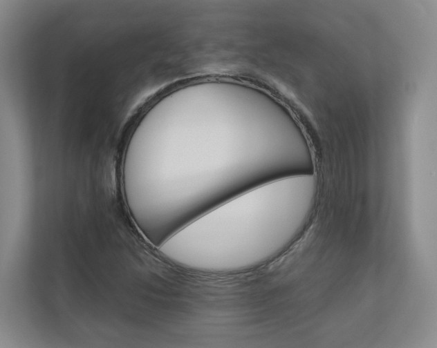 X0000111031214200906251111