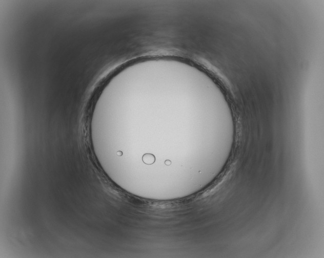 X0000111031215200906251111