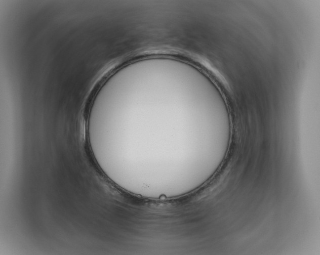 X0000111031221200906251111