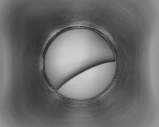 X0000111031224200906251111