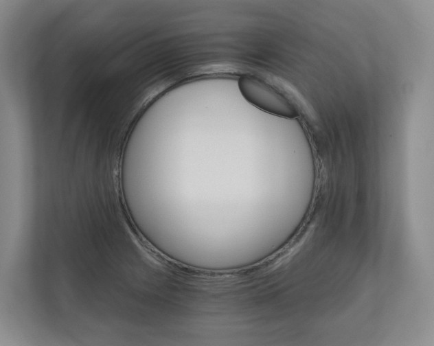 X0000111031225200906251111
