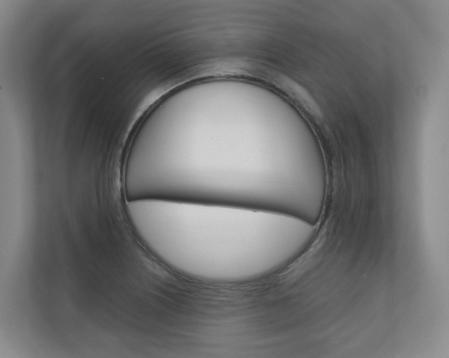 X0000111031226200906251111