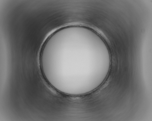 X0000111031230200906251111