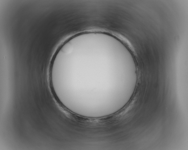 X0000111031231200906251111