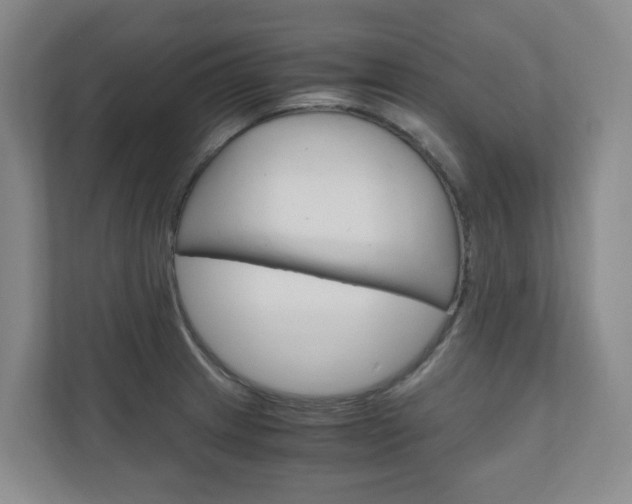 X0000111031233200906251111