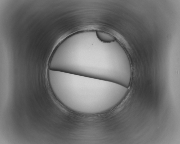X0000111031234200906251111