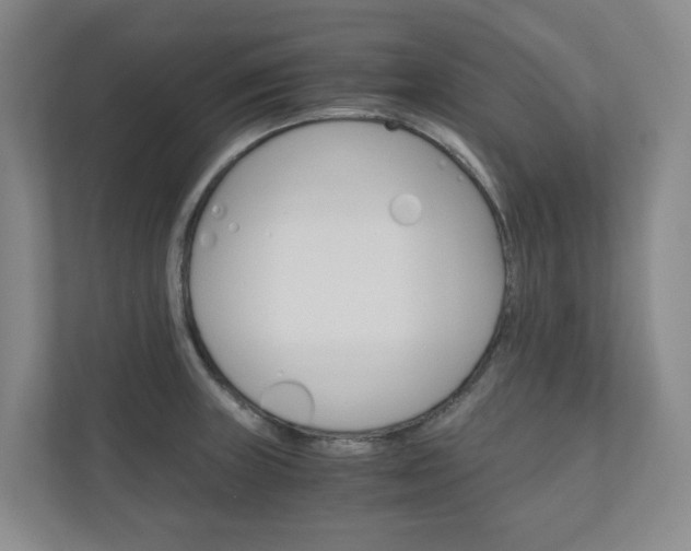 X0000111031235200906251111
