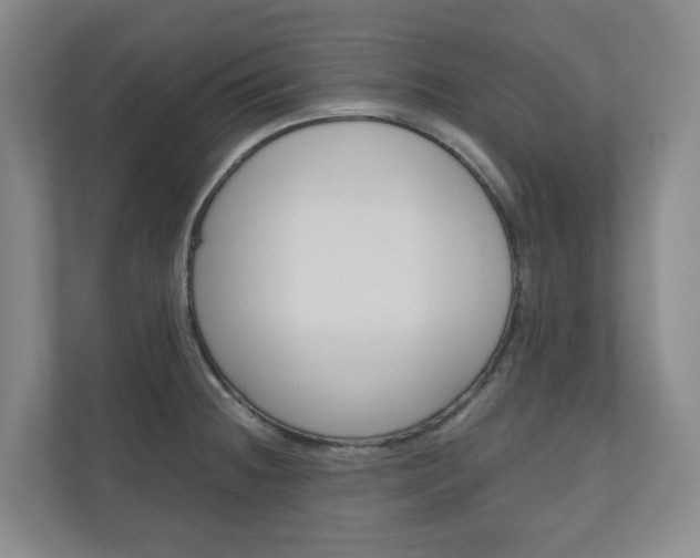 X0000111031236200906251111