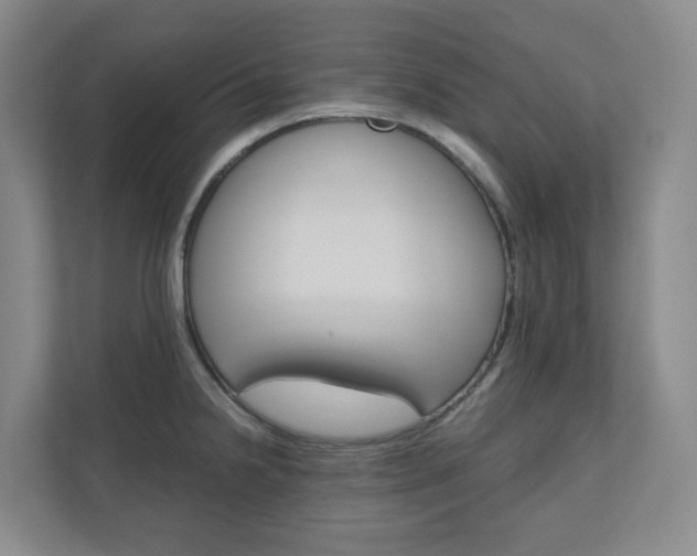 X0000111031238200906251111