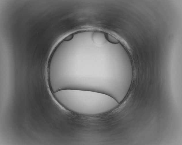 X0000111031239200906251111