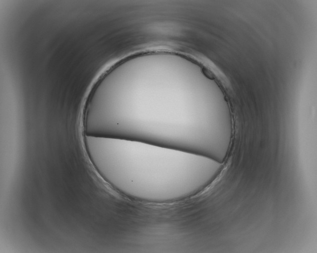 X0000111031240200906251111