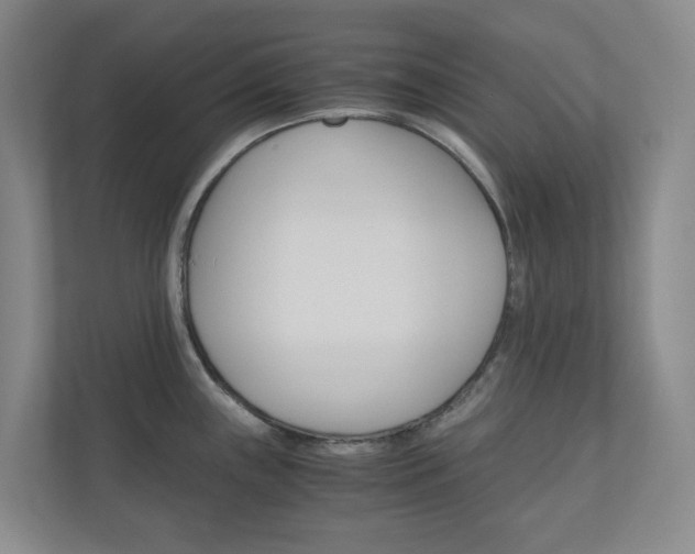 X0000111031243200906251111