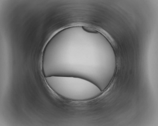 X0000111031244200906251111