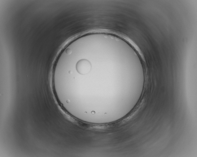 X0000111031245200906251111
