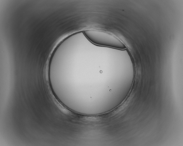X0000111031246200906251111