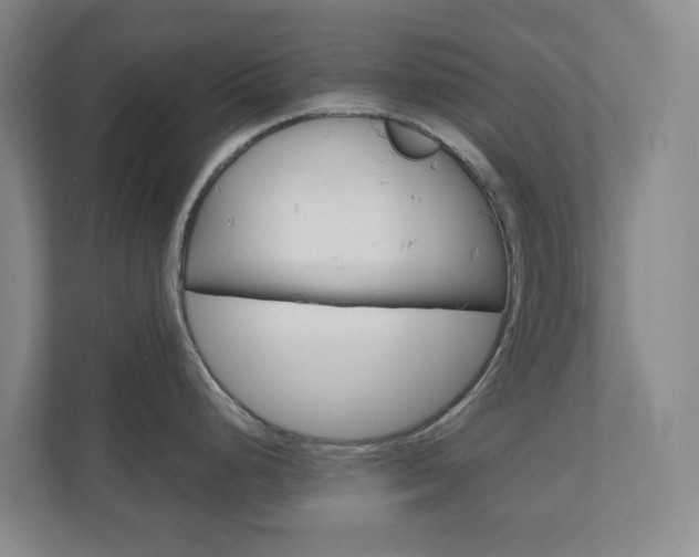 X0000111031248200906251111