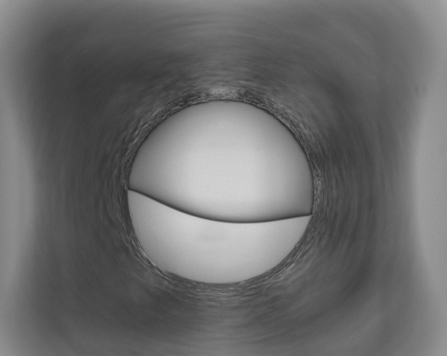 X0000111031249200906251111