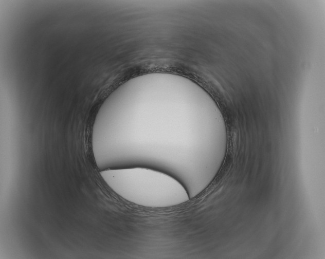 X0000111031250200906251111