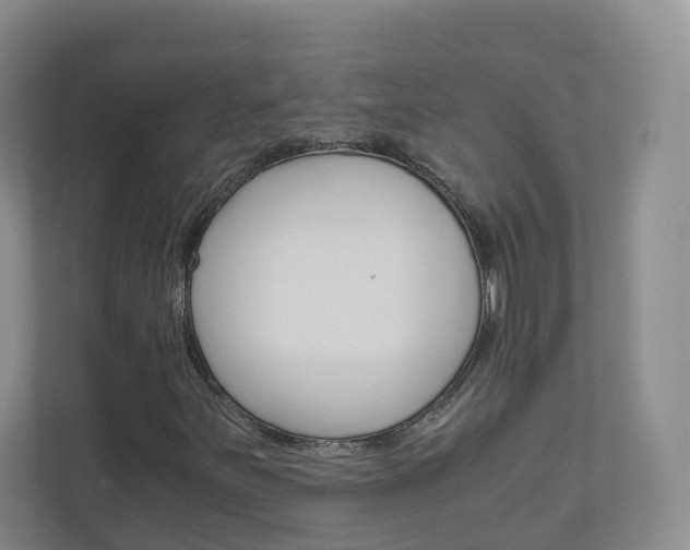 X0000111031251200906251111