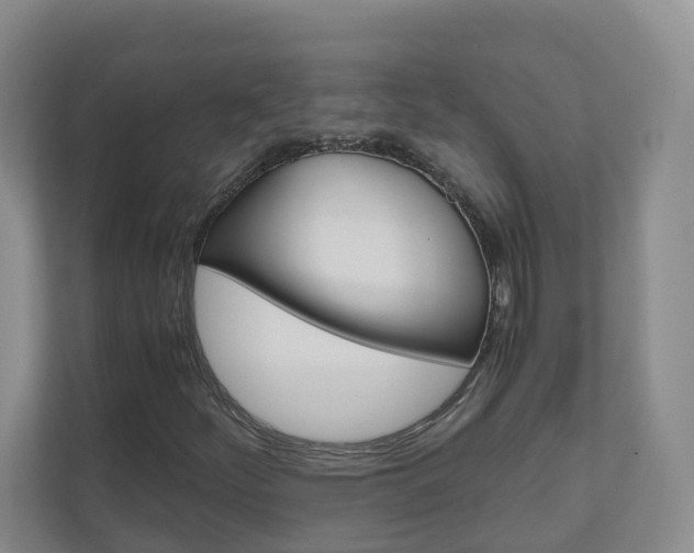 X0000111031252200906251111