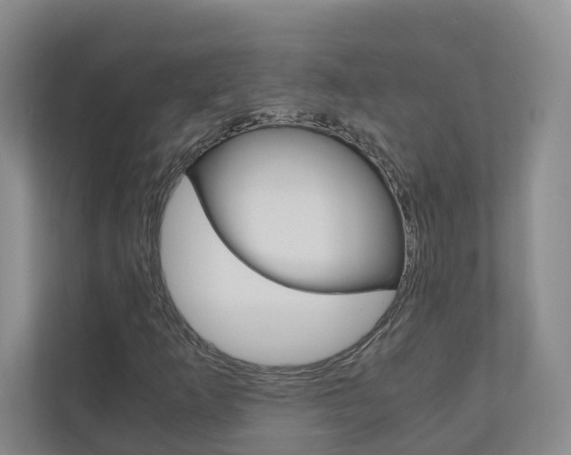 X0000111031253200906251111
