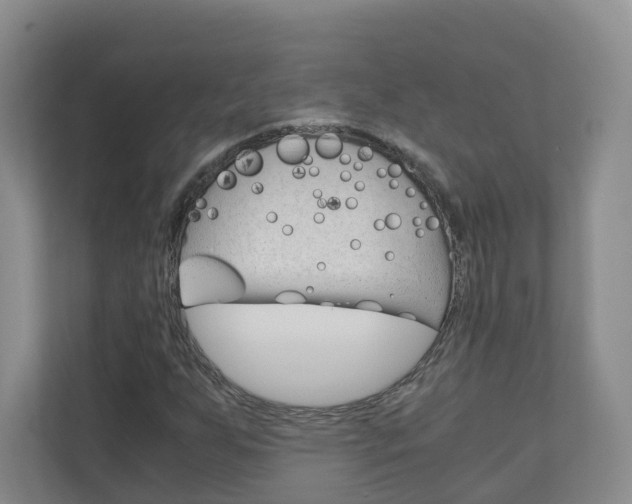 X0000111031255200906251111