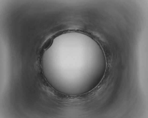 X0000111031256200906251111