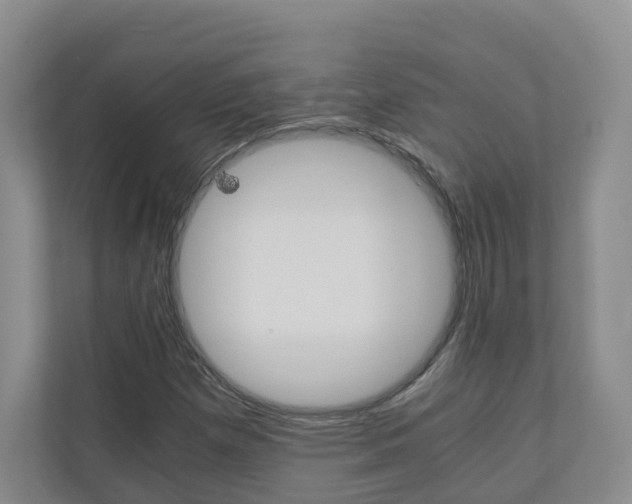X0000111031257200906251111