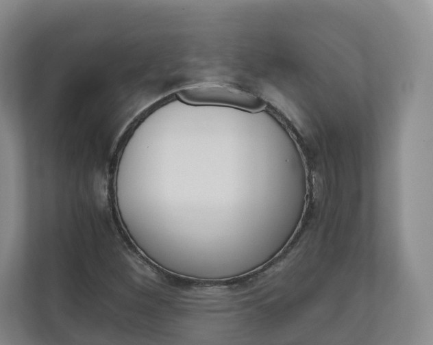 X0000111031260200906251111