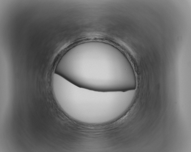 X0000111031261200906251110