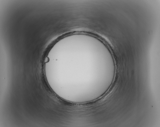X0000111031263200906251110