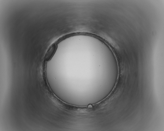 X0000111031264200906251110