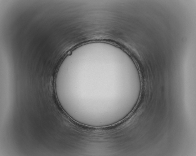 X0000111031265200906251110