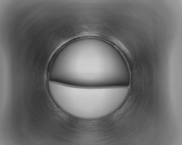 X0000111031268200906251110
