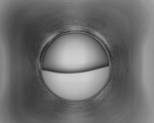 X0000111031269200906251110