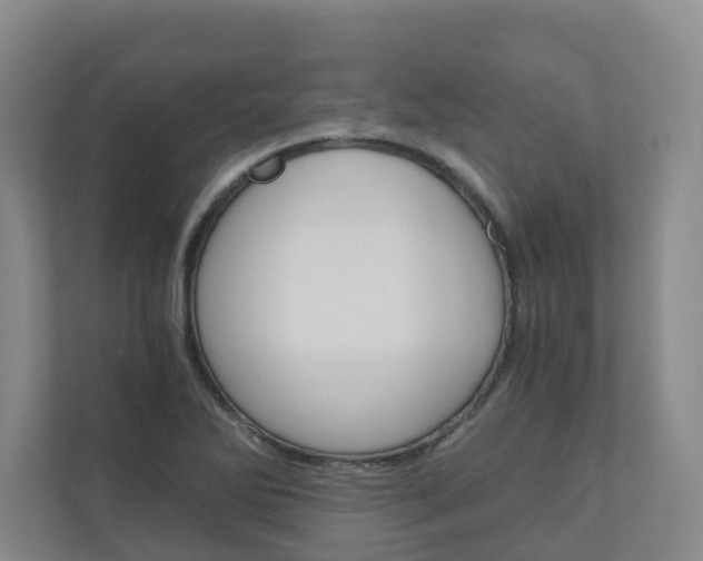 X0000111031270200906251110