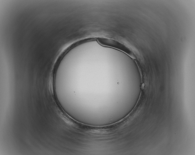 X0000111031272200906251110
